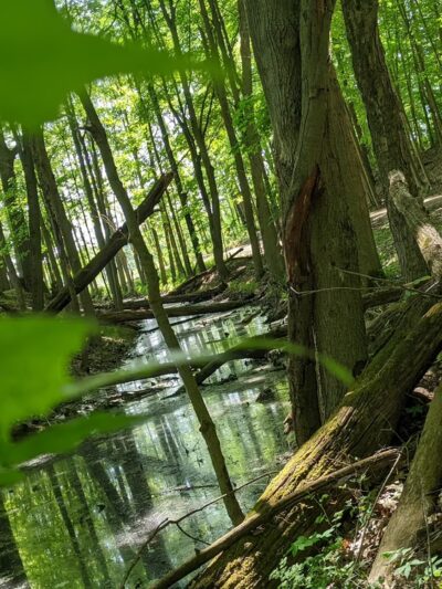 Ernst Nature Trail - Conneaut Lake, PA