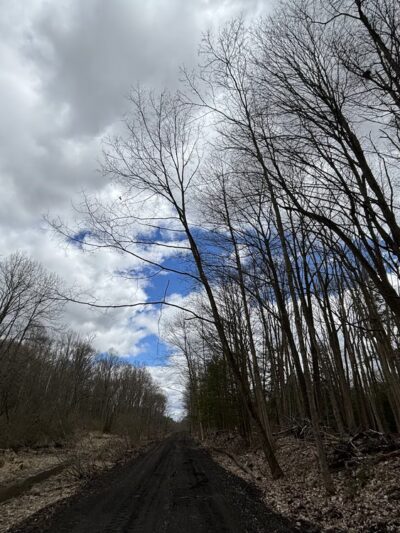 Ernst Trail McMichael Rd / Brown Hill Road Trailhead - Conneaut Lake, PA