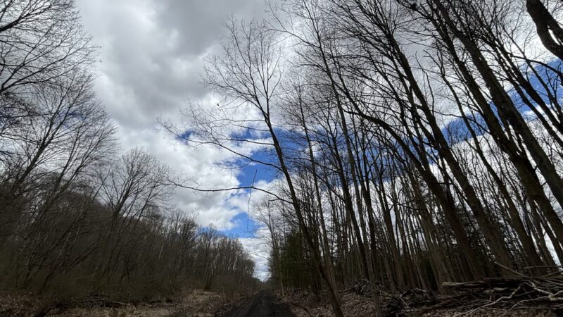 Ernst Trail McMichael Rd / Brown Hill Road Trailhead - Conneaut Lake, PA