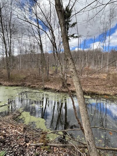 Ernst Trail McMichael Rd / Brown Hill Road Trailhead - Conneaut Lake, PA