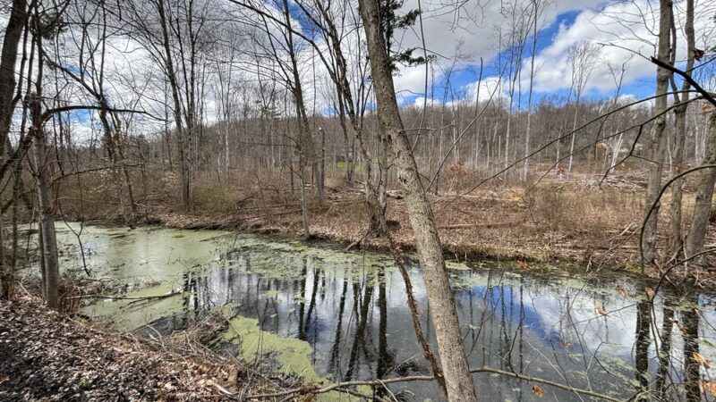 Ernst Trail McMichael Rd / Brown Hill Road Trailhead - Conneaut Lake, PA