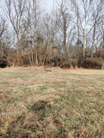 Cedar Grove Park - Conshohocken, PA