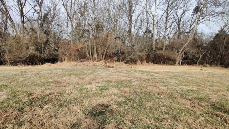 Cedar Grove Park - Conshohocken, PA