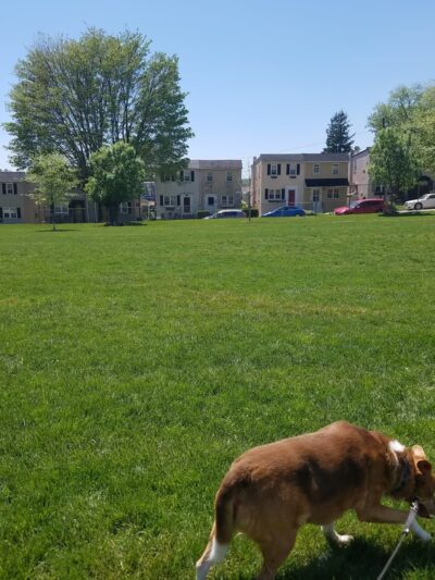 Leeland Park - Conshohocken, PA