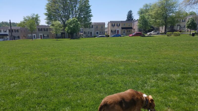 Leeland Park - Conshohocken, PA