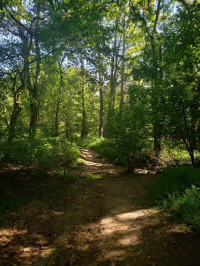 Wells Street Trail - Conshohocken, PA