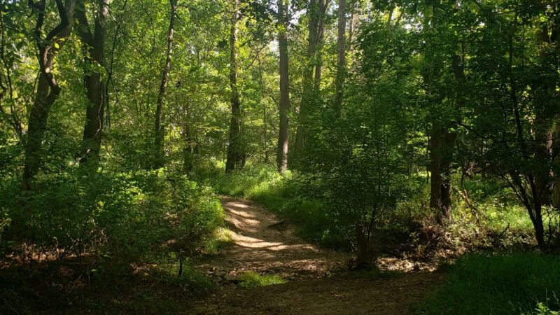 Wells Street Trail - Conshohocken, PA