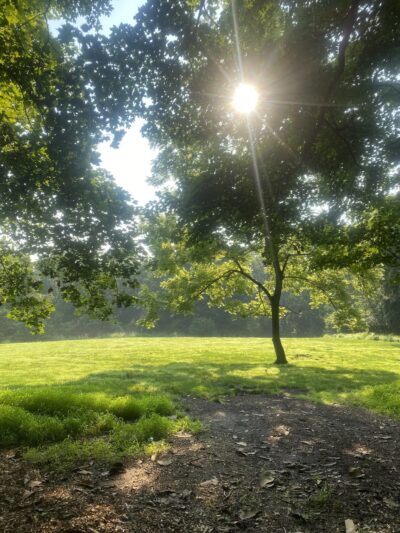 Wells Street Trail - Conshohocken, PA