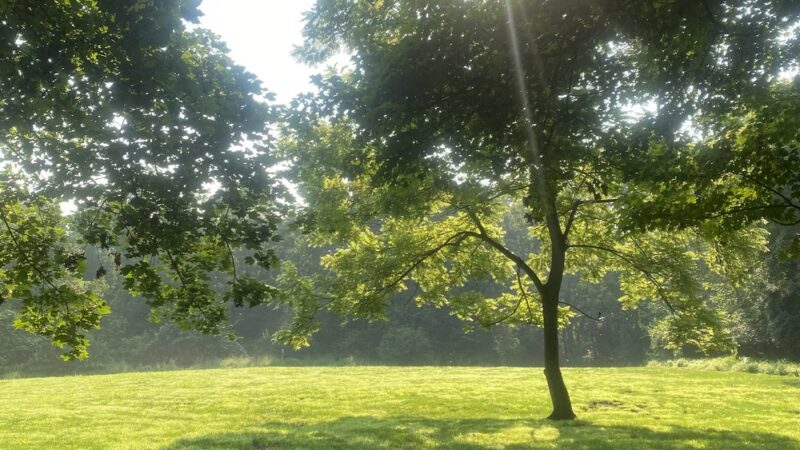 Wells Street Trail - Conshohocken, PA