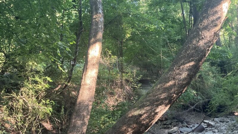 Wells Street Trail - Conshohocken, PA