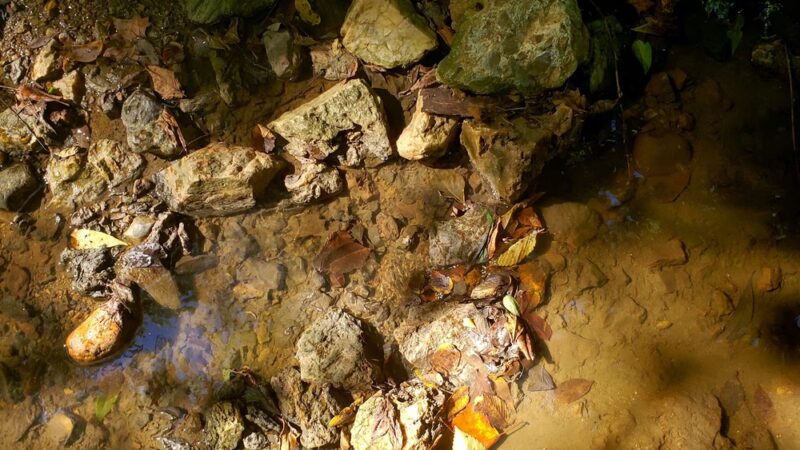 Wells Street Trail - Conshohocken, PA