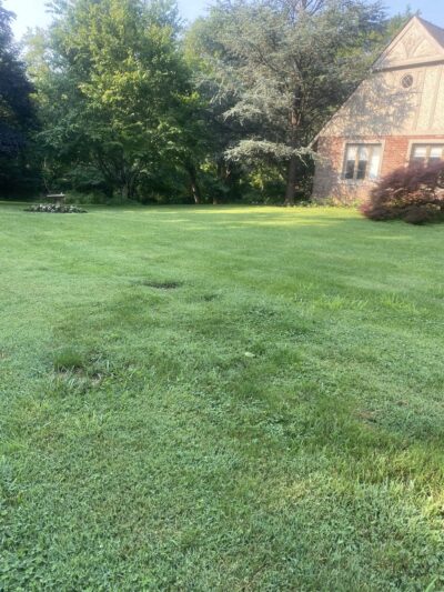 Wells Street Trail - Conshohocken, PA