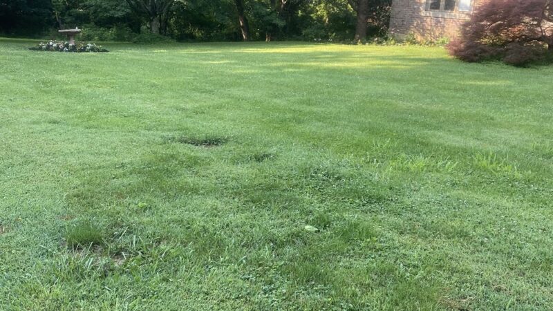 Wells Street Trail - Conshohocken, PA