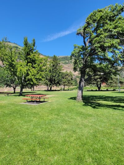 Marina Park - Cook, WA