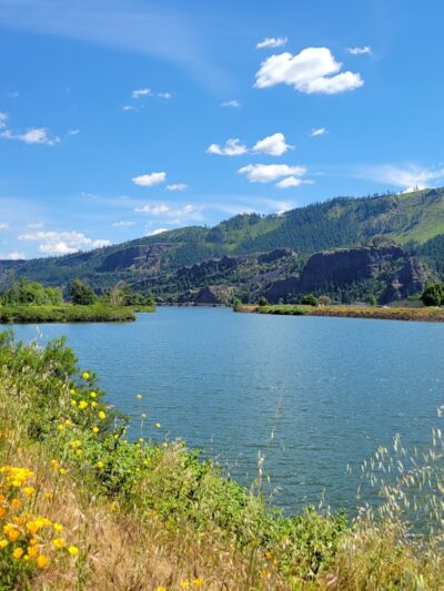 Marina Park - Cook, WA