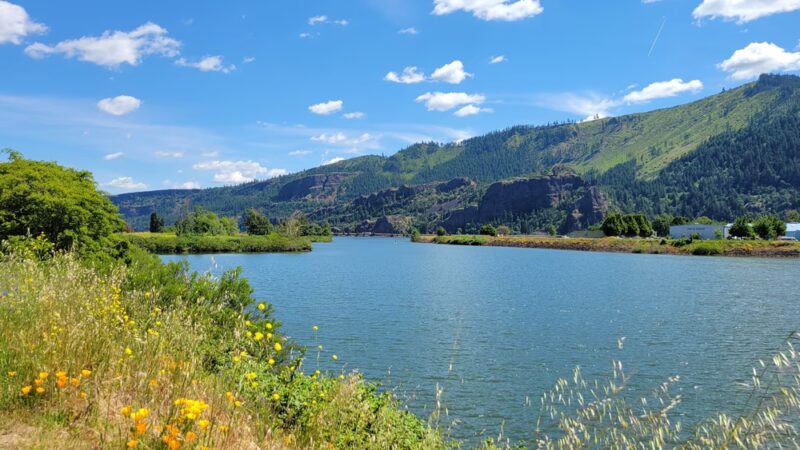 Marina Park - Cook, WA