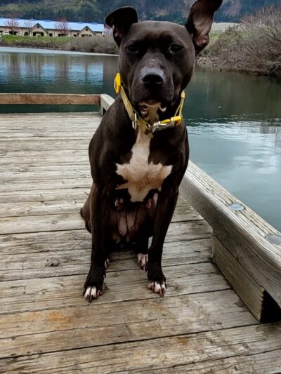 Marina Park - Cook, WA