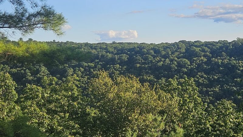 Cook Forest State Park Office - Cooksburg, PA