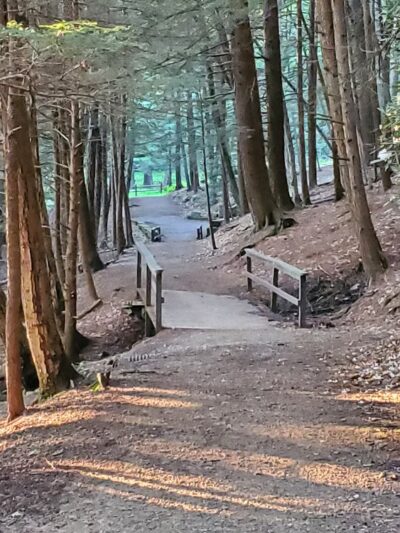 Cook Forest State Park Office - Cooksburg, PA