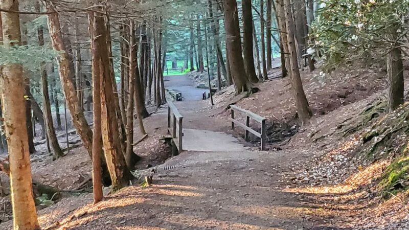 Cook Forest State Park Office - Cooksburg, PA