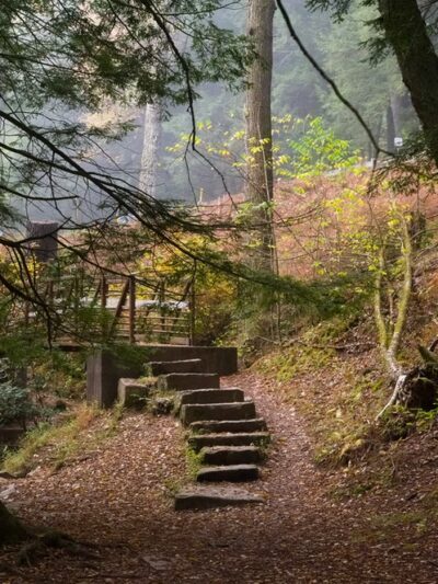 Cook Forest State Park Office - Cooksburg, PA
