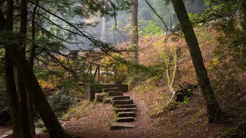 Cook Forest State Park Office - Cooksburg, PA