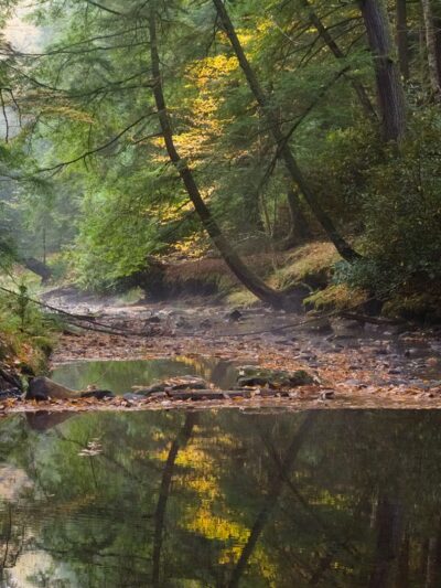 Cook Forest State Park Office - Cooksburg, PA