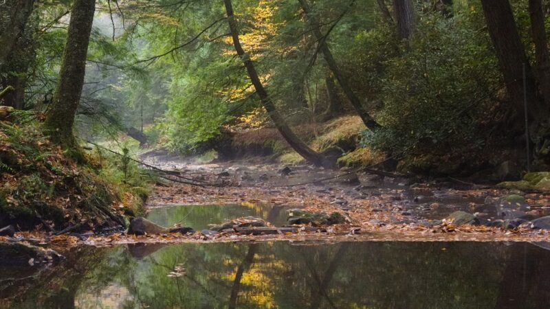 Cook Forest State Park Office - Cooksburg, PA