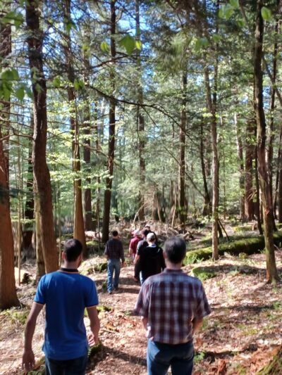 Cook Trail Trailhead - Cooksburg, PA