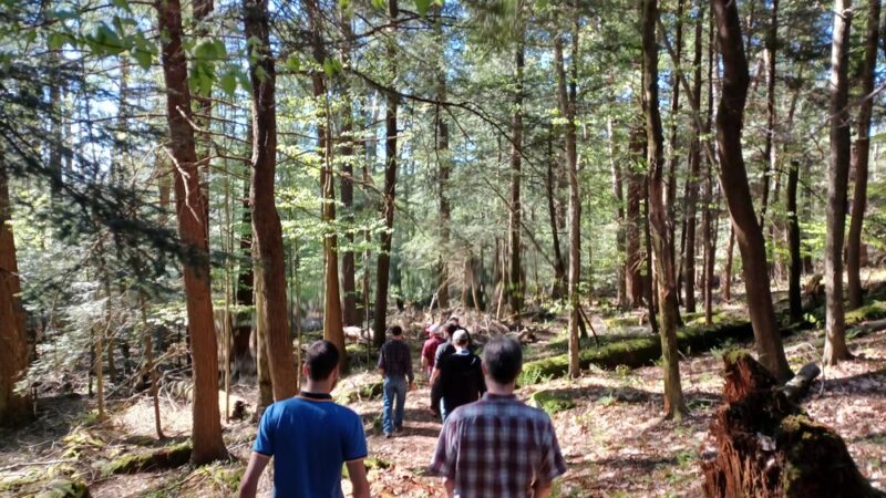 Cook Trail Trailhead - Cooksburg, PA