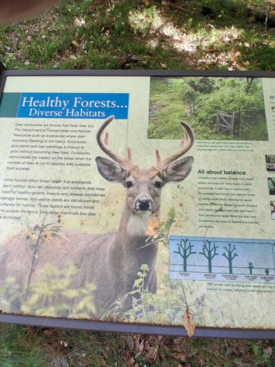 Cook Trail Trailhead - Cooksburg, PA