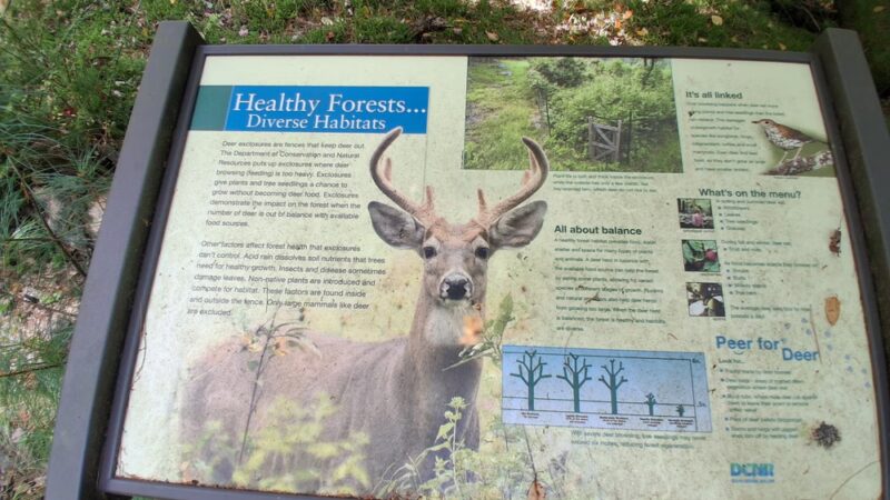 Cook Trail Trailhead - Cooksburg, PA