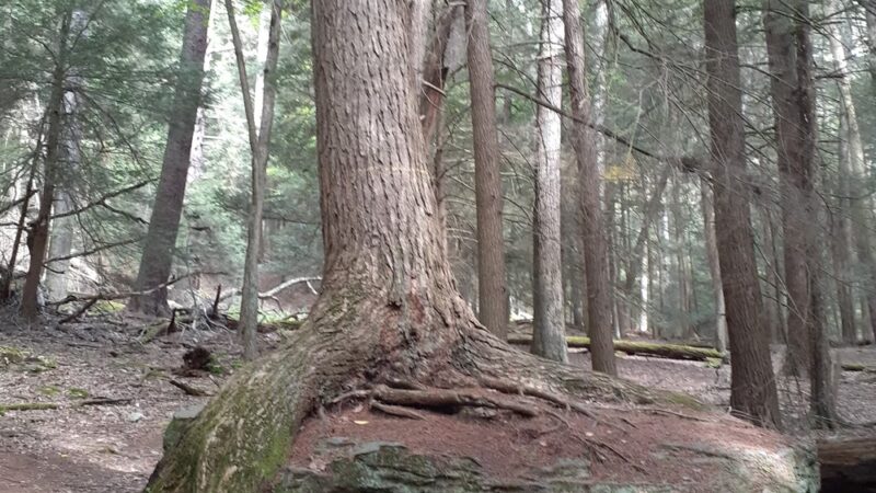 Cook Trail Trailhead - Cooksburg, PA