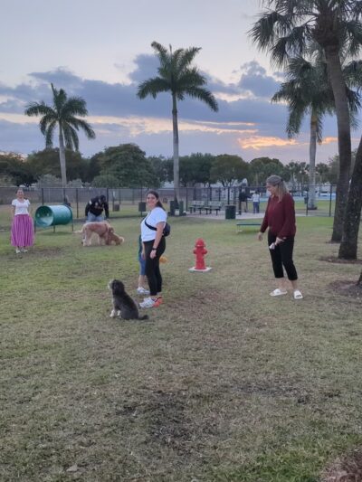 Cooper City Dog Park - Cooper City, FL