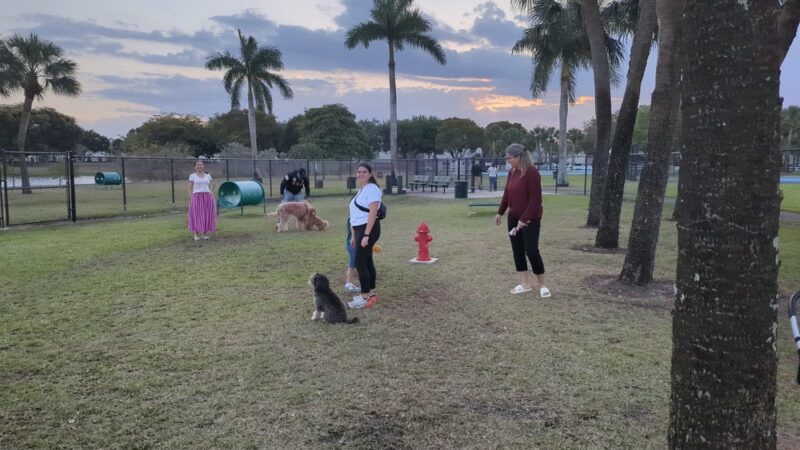 Cooper City Dog Park - Cooper City, FL