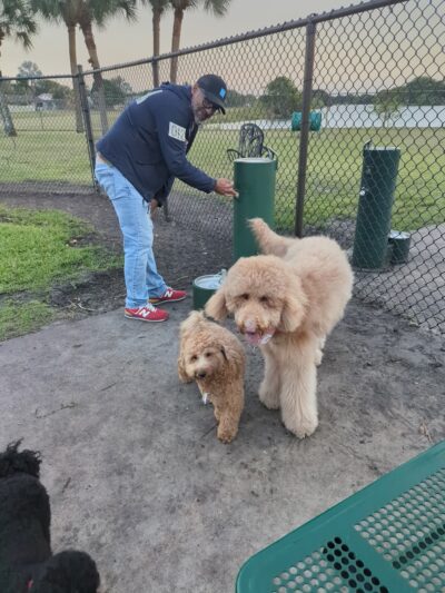 Cooper City Dog Park - Cooper City, FL