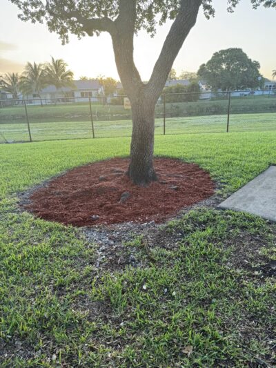 Flamingo Park - Cooper City, FL