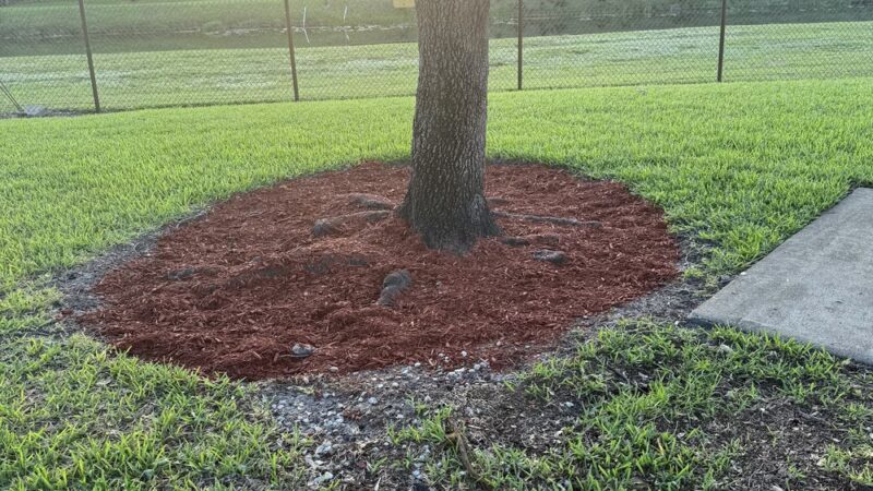 Flamingo Park - Cooper City, FL