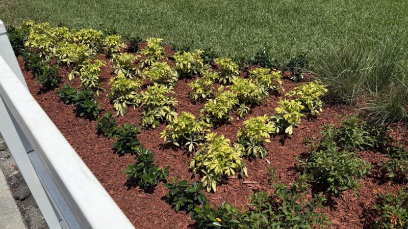 Flamingo Park - Cooper City, FL