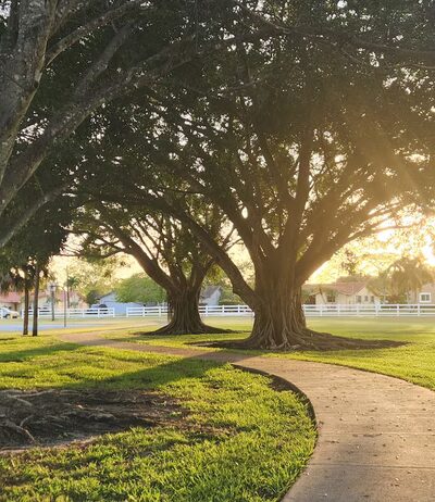 Forest Lake Park - Cooper City, FL