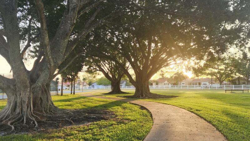 Forest Lake Park - Cooper City, FL