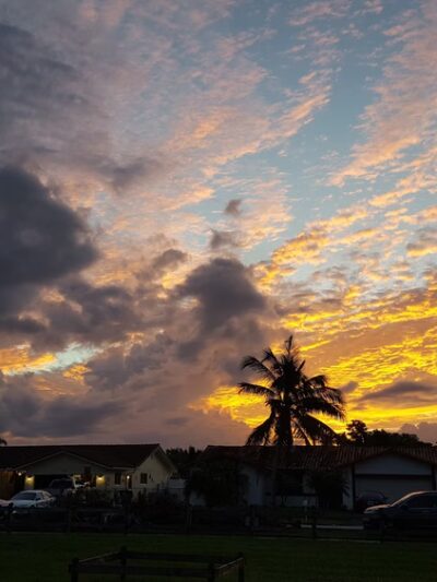Forest Lake Park - Cooper City, FL