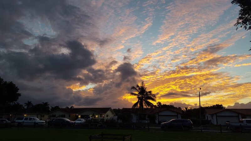 Forest Lake Park - Cooper City, FL