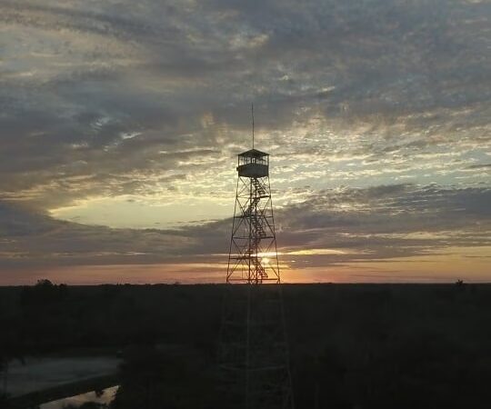 Copeland - Copeland, FL