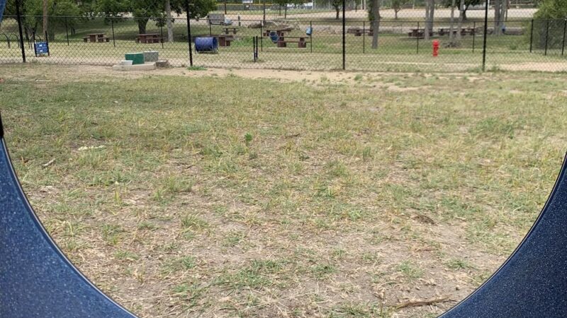 Raising Cane's dog park - Copperas Cove, TX