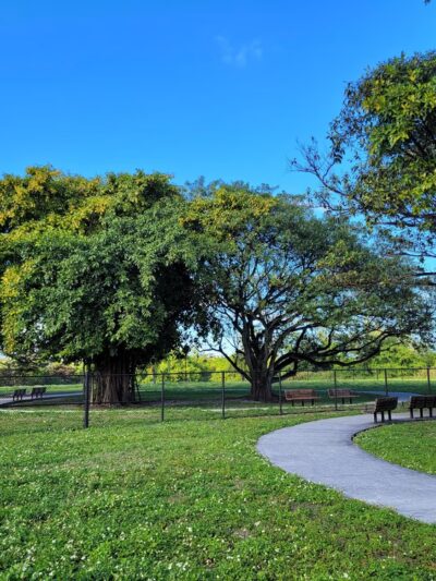 Chapman Trail Dog Park - Coral Gables, FL