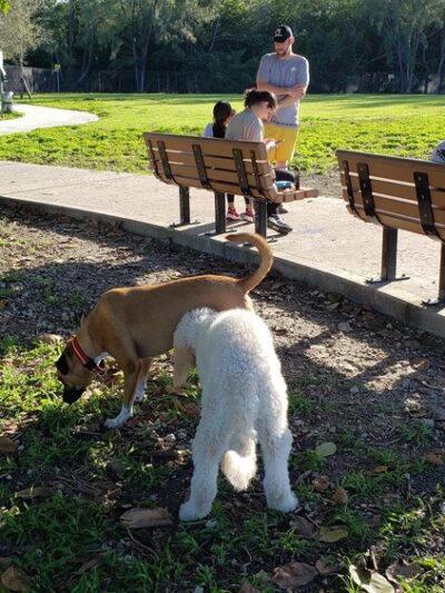 Chapman Trail Dog Park - Coral Gables, FL