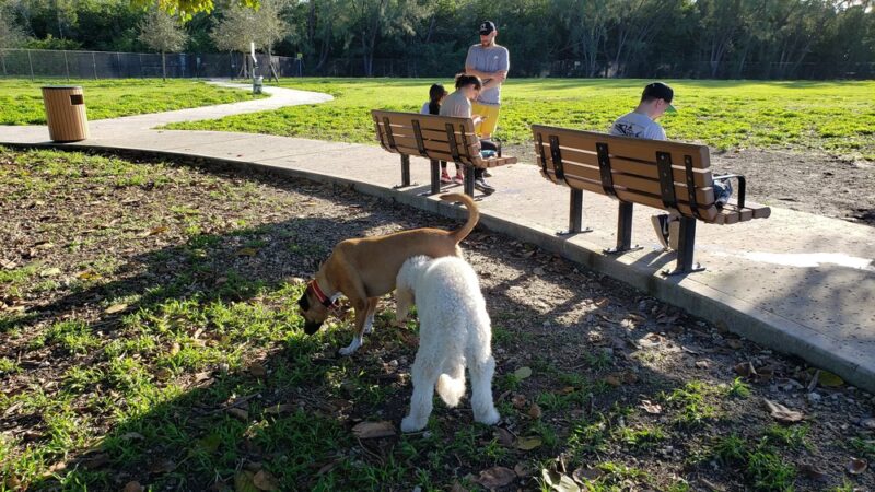 Chapman Trail Dog Park - Coral Gables, FL