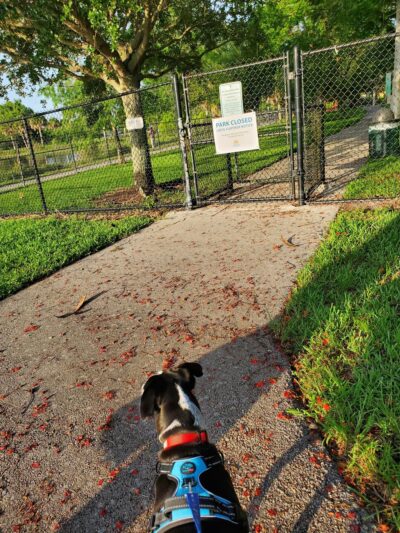 Dr. Steven G. Paul Dog Park - Coral Springs, FL