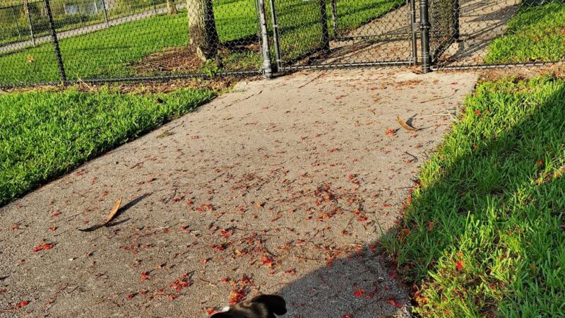 Dr. Steven G. Paul Dog Park - Coral Springs, FL